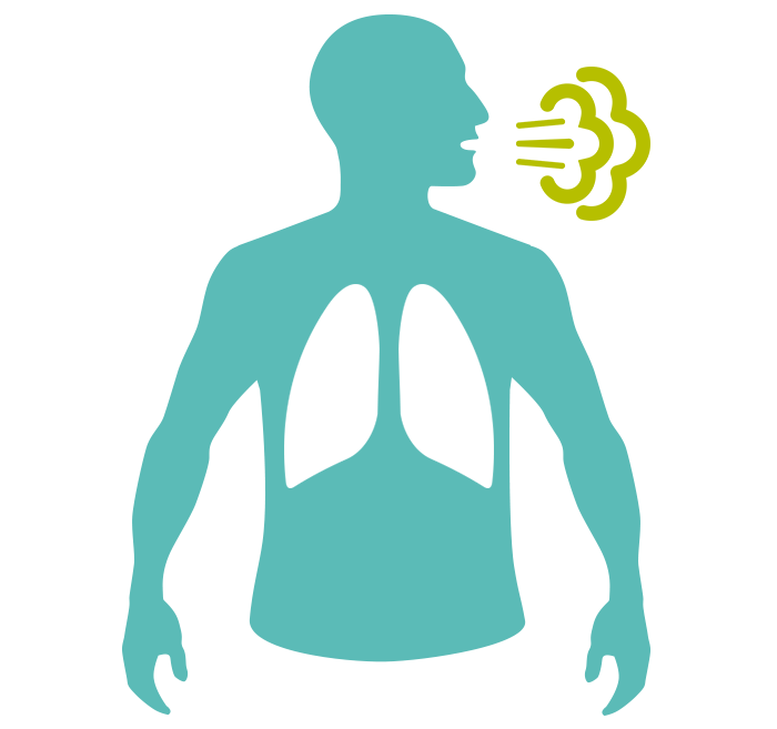 Miniatura de infograf&iacute;a