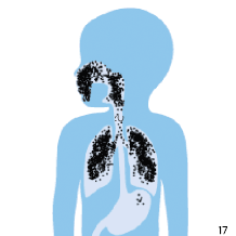M&aacute;scara con un sello adecuado