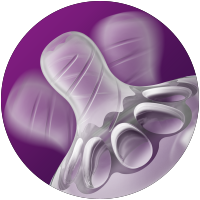 tetina natural con dise&ntilde;o en espiral