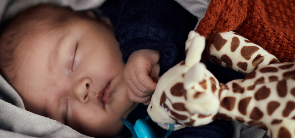 Video de &iexcl;Hola, beb&eacute;!