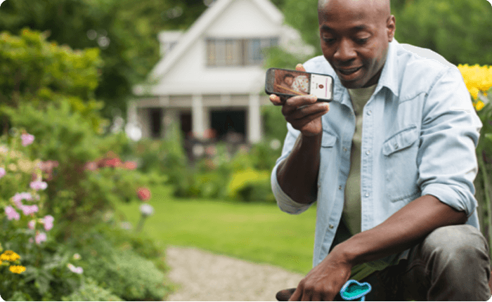 Vea el vigilabeb&eacute;s en acci&oacute;n
