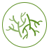 un logo verde y negro