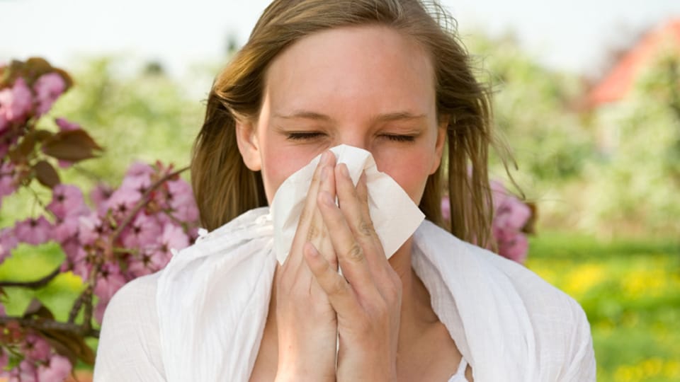 &iquest;Es asma o alergia?